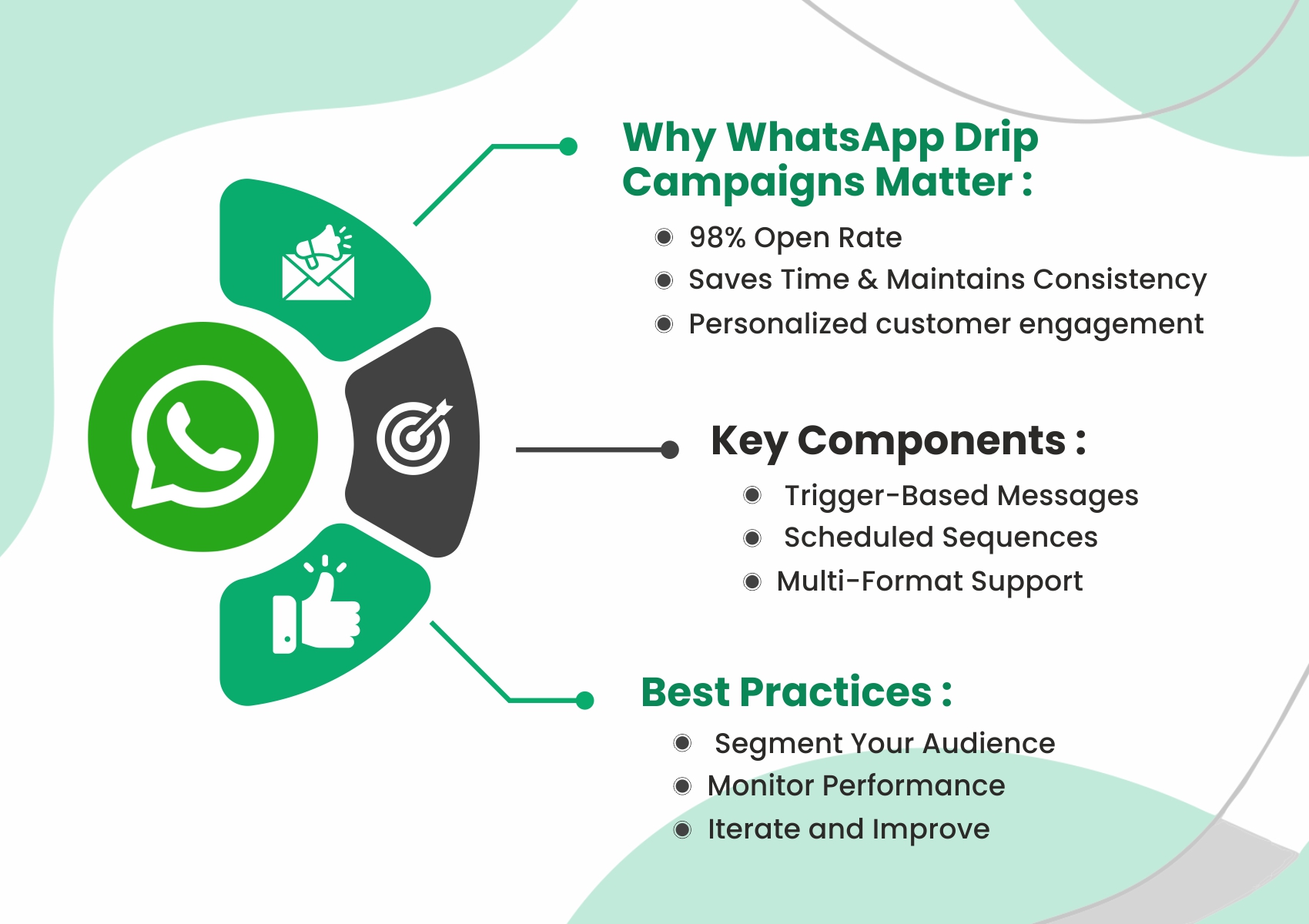 WhatsApp Drip Campaigning